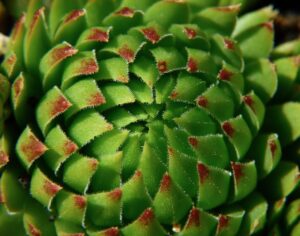 太もも脂肪吸引の傷跡にかさぶたができたらどう対処する？
